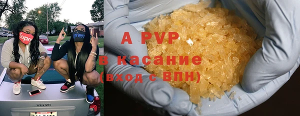 стаф Алексин