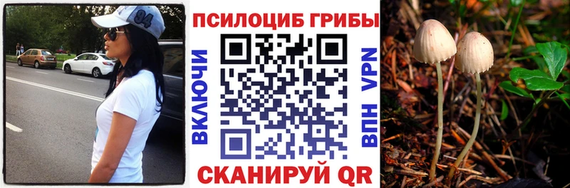 Псилоцибиновые грибы Psilocybine cubensis  Лесозаводск 