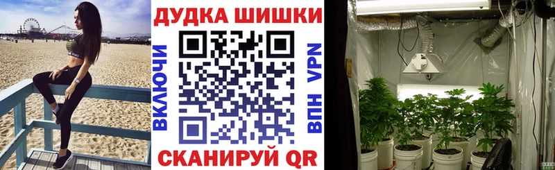 Шишки марихуана Amnesia  Лесозаводск 